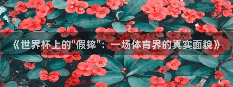 世界杯比赛时间:《世界杯上的\