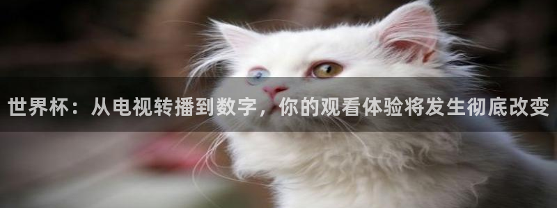 世界杯第一场比赛:世界杯:从电视转播到数字,你的观看体验将发生彻底改变