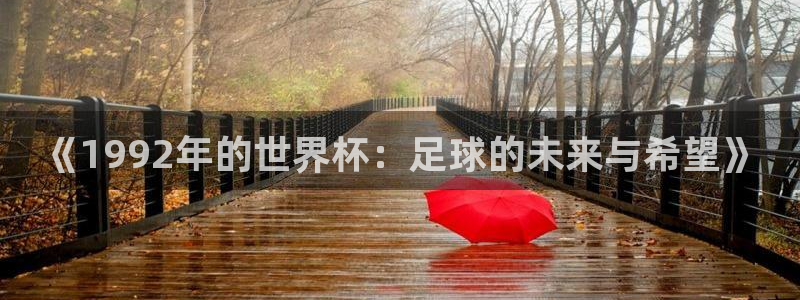 2006年世界杯冠军:《1992年的世界杯:足球的未来与希望》