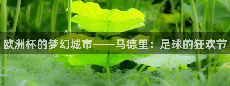中国 世界杯:欧洲杯的梦幻城市——马德里:足球的狂欢节