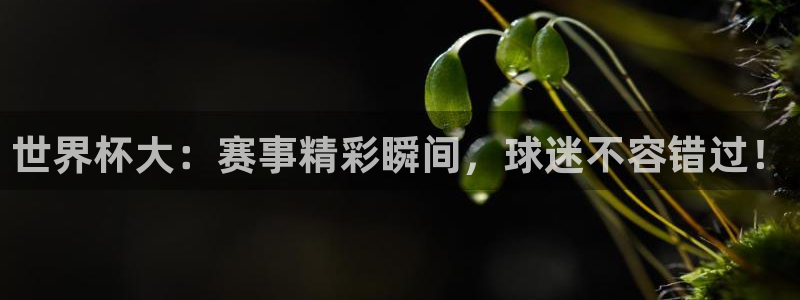 世界杯官网入口:世界杯大:赛事精彩瞬间,球迷不容错过!